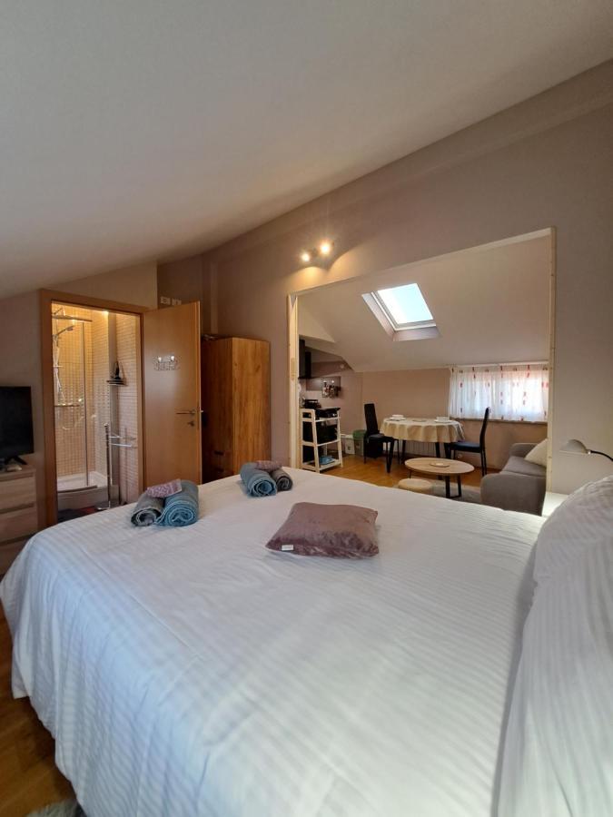 Ferienwohnung Casa Antonio With Swimming Pool Novigrad Istria Exterior foto